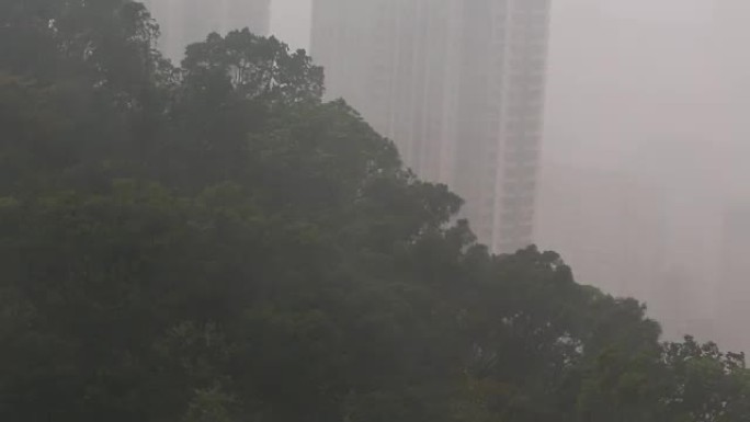 2018台风山竹暴雨