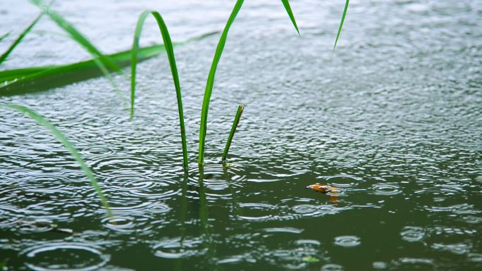 雨季雨滴雨水