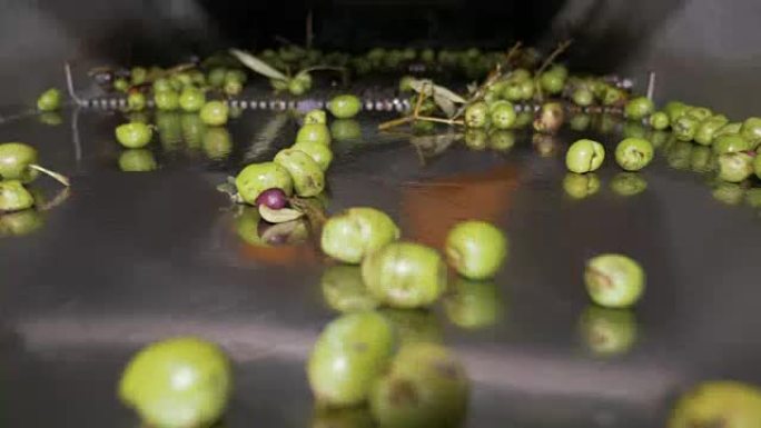 橄榄油生产工艺 -- 意大利南部制造橄榄油