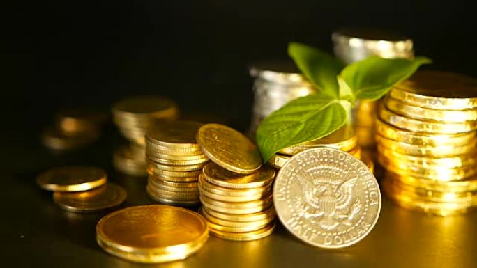 黑色背景上的金色硬币和发芽绿叶。金融业务、抵押贷款和银行概念的成功