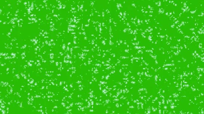 屏幕冻结动画孤立在绿色色度关键背景