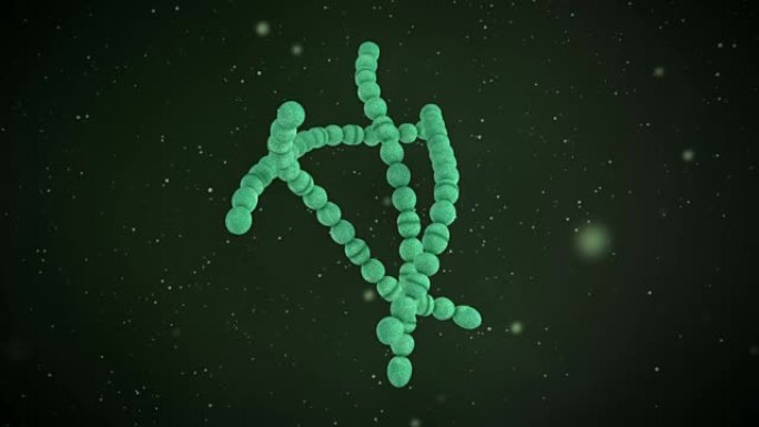 化脓性链球菌的3D动画