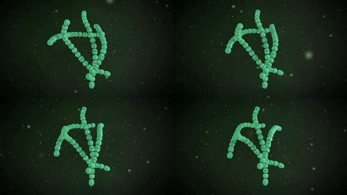 化脓性链球菌的3D动画