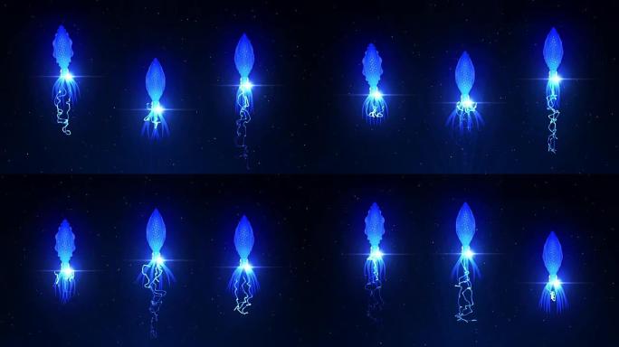 鱿鱼在水下用彩光照明，CG动画，循环