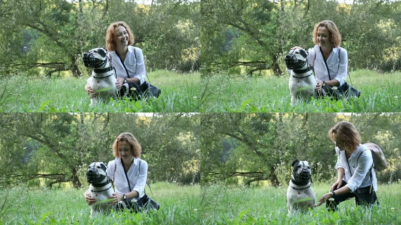 女人和她忠实的狗-股票视频