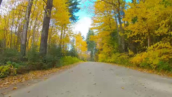 新罕布什尔州怀特山脉的秋天之路