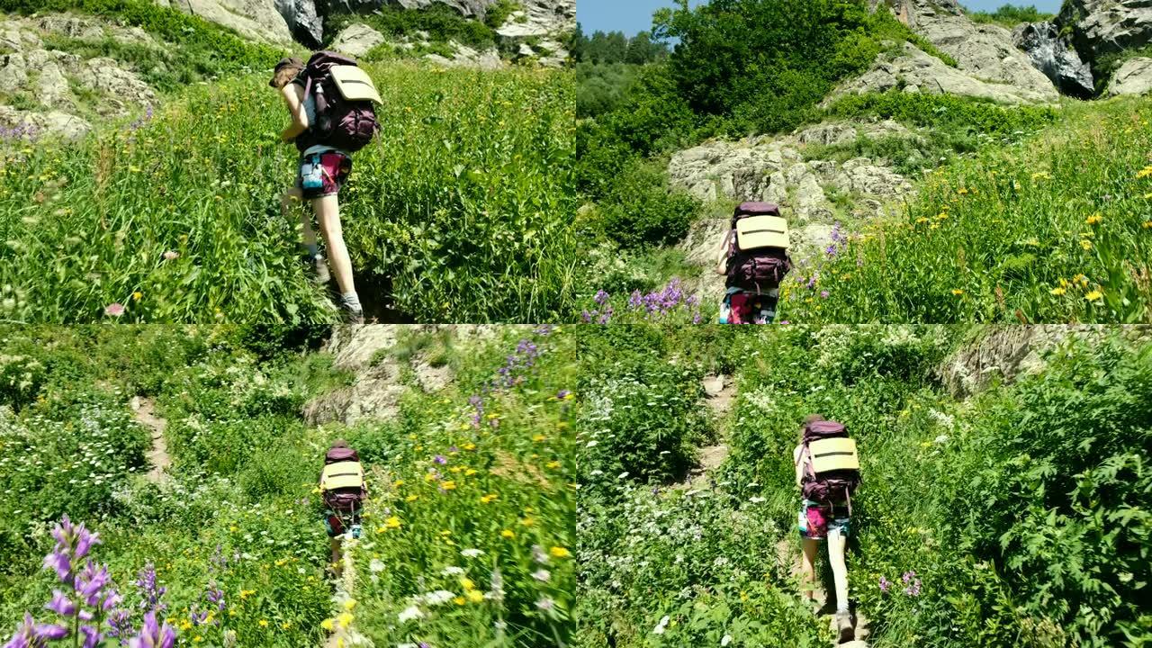 女徒步旅行者在风景优美的徒步旅行中爬坡。背着背包爬山的女孩，相机运动