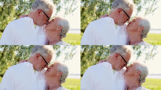 快乐的高级夫妇在夏季公园接吻