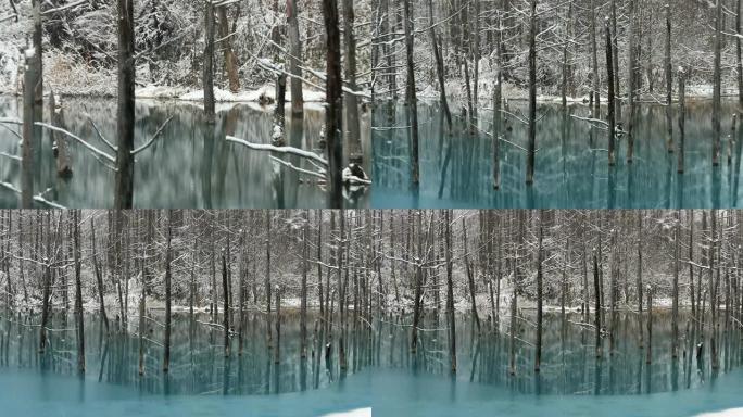 蓝色池塘的初冬
