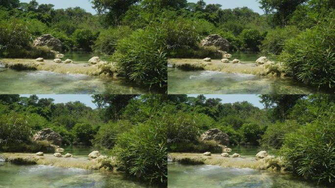 雨林中的河流