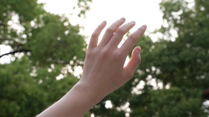 女性单手伸手触摸阳光