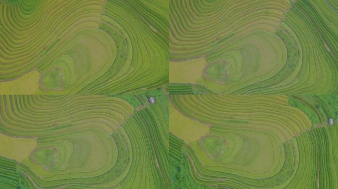 带梯田的越南景观