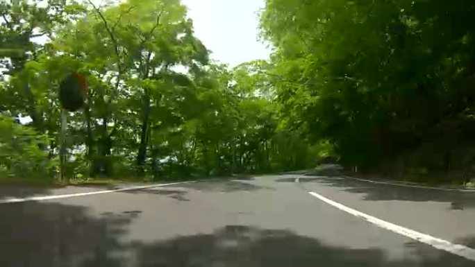 开车穿过森林路