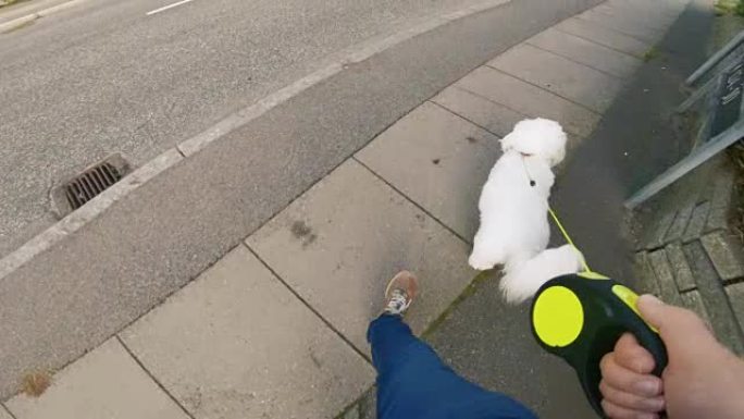 男人在人行道上walking狗的观点