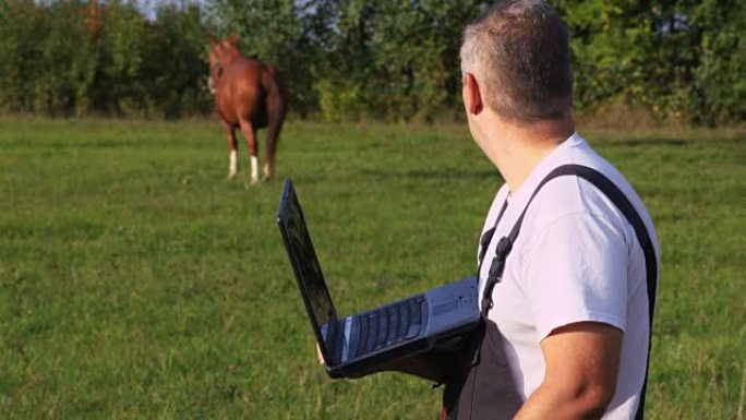 农民在马附近使用笔记本电脑