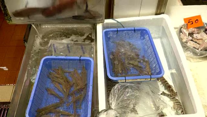 香港花园街出售活虾