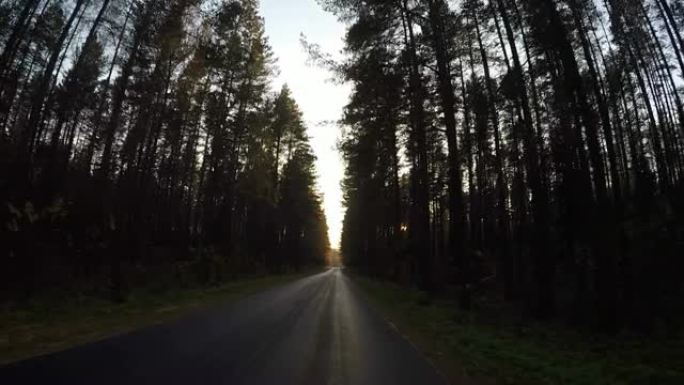 黄昏时开车穿过树林路危险的灯光恐怖场景