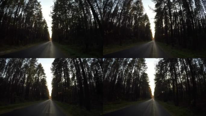 黄昏时开车穿过树林路危险的灯光恐怖场景