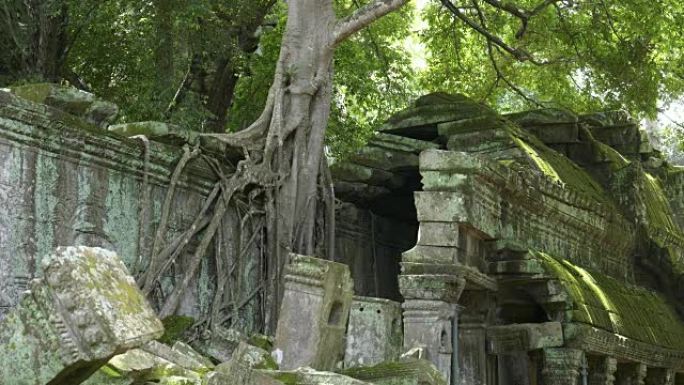 吴哥塔普伦寺的树根和一段断壁