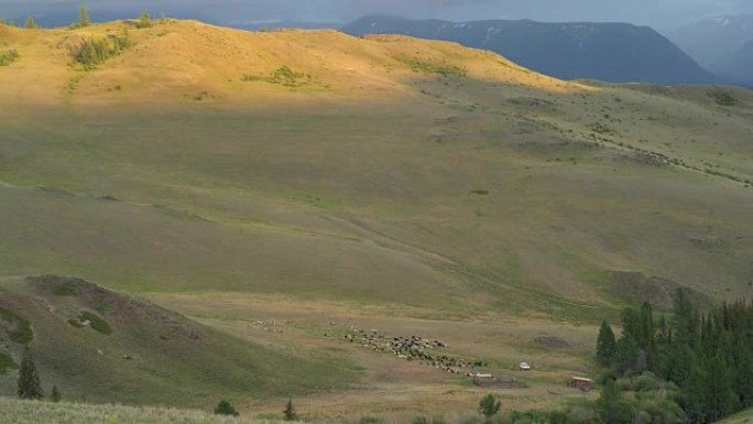 全景视频，青山被云彩覆盖。丘陵景观。远处的小型放牧奶牛