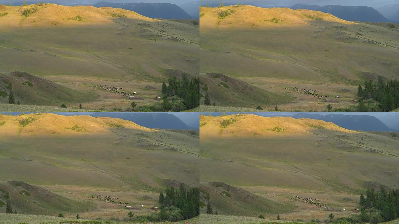全景视频，青山被云彩覆盖。丘陵景观。远处的小型放牧奶牛