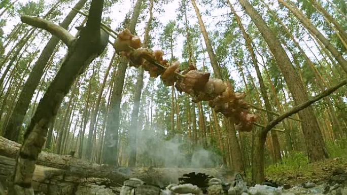 森林中的猪油培根烤肉串从下面