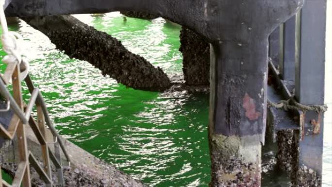 绿色海水溅到藤壶覆盖的码头上