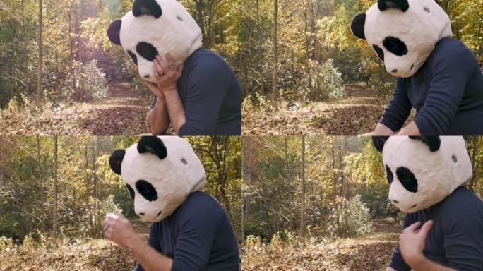悲伤的熊猫坐在公园或森林里哭泣并擦干眼泪