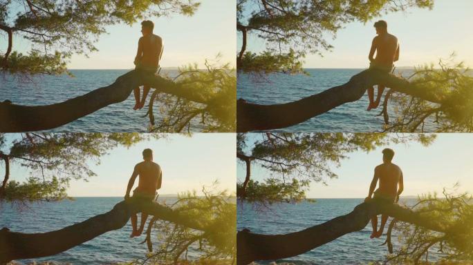 一个年轻人坐在松树的树枝上，看着大海，享受阳光，将石头划入水中。