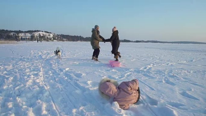 冬天的乐趣，雪，冬天和狗一起拉雪橇