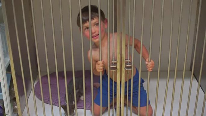 婴儿与猫在笼子里