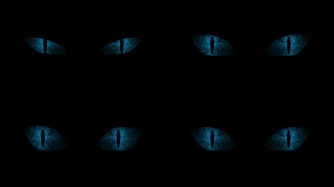 蓝猫眼睛闪烁循环。