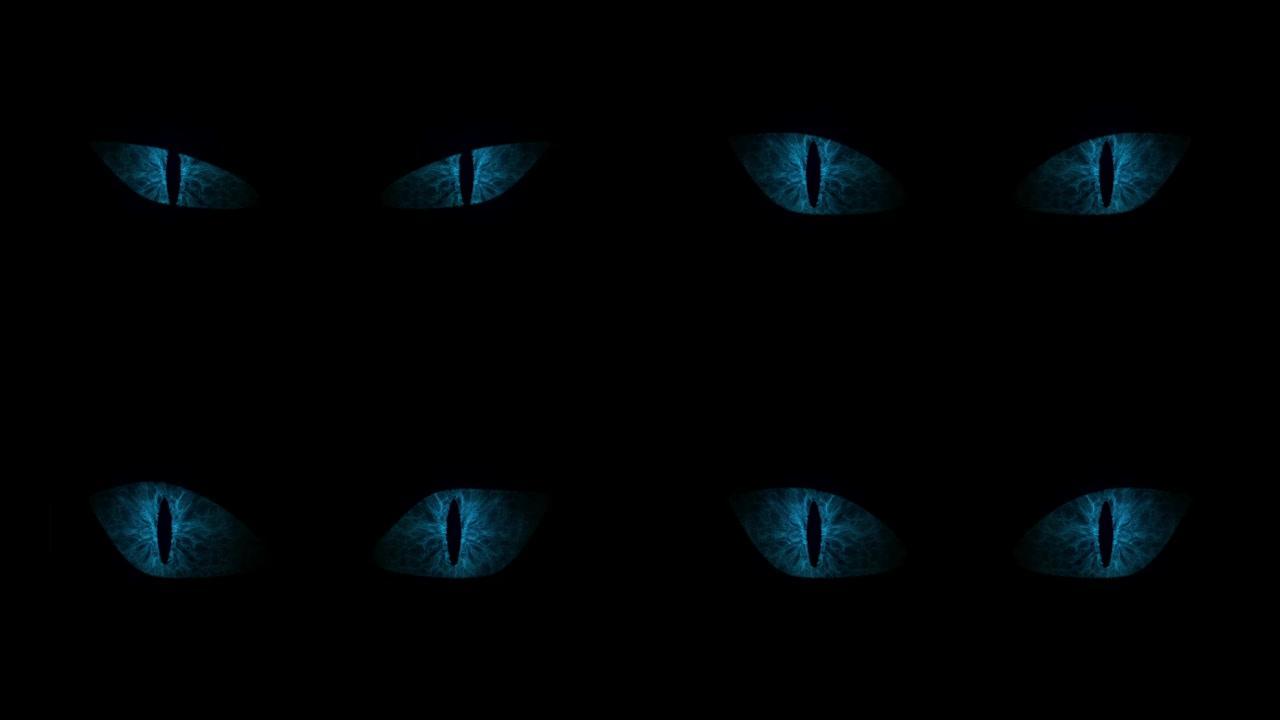 蓝猫眼睛闪烁循环。