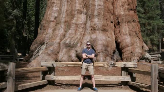 谢尔曼将军-世界上最大的树，美国加利福尼亚州红杉公园