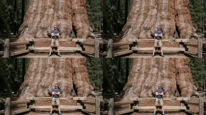 谢尔曼将军-世界上最大的树，美国加利福尼亚州红杉公园