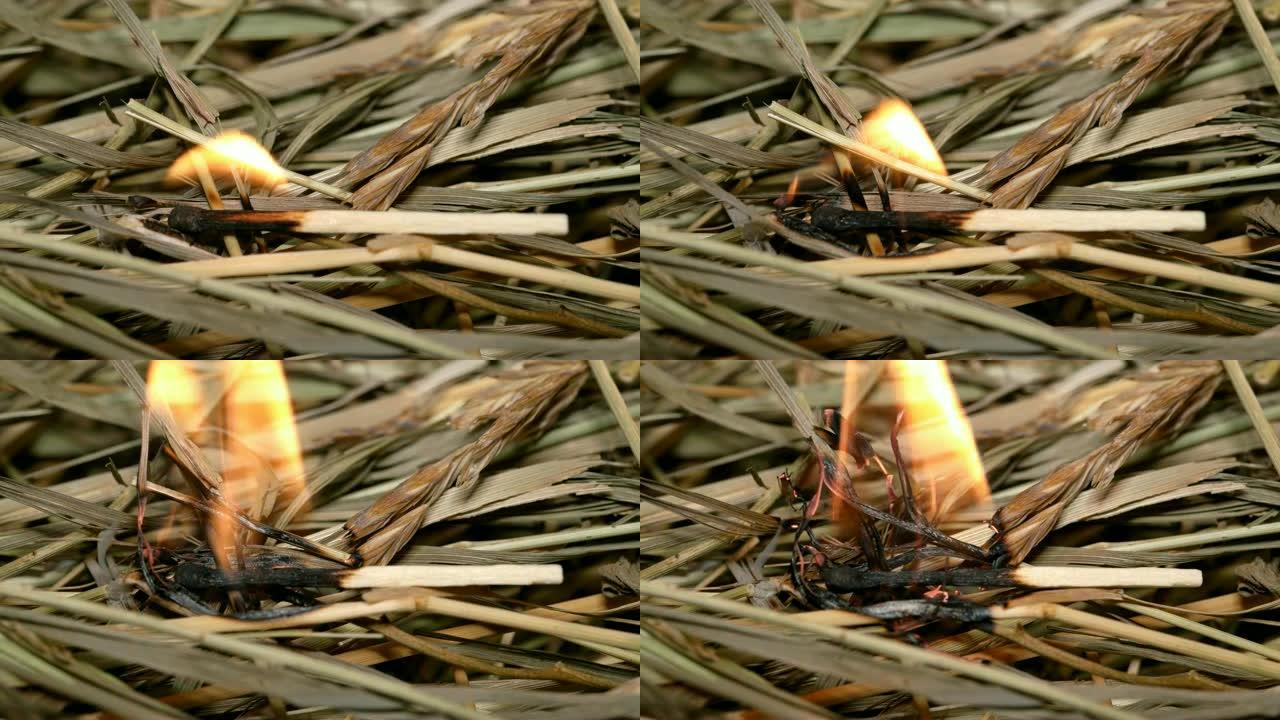在干草上燃烧火柴
