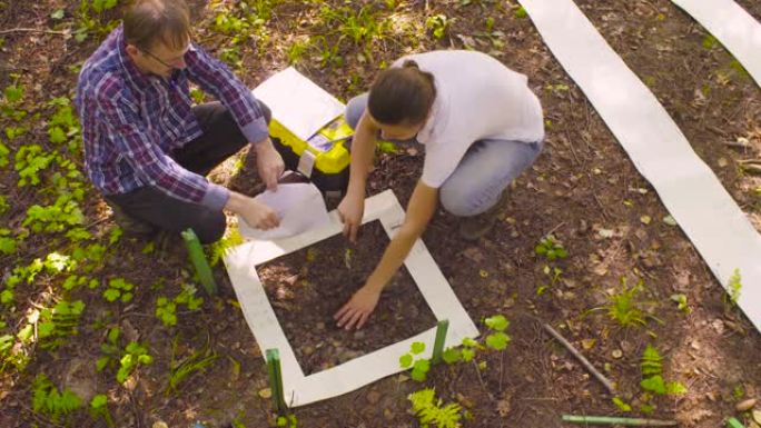 两名生态学家在森林中获取土壤样本