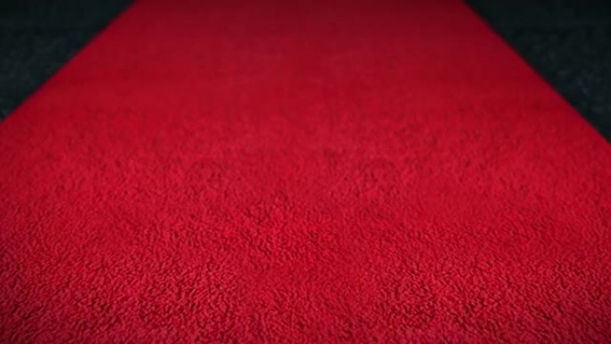 红地毯4K