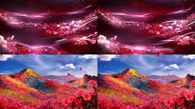 红色花瓣散落映山红山