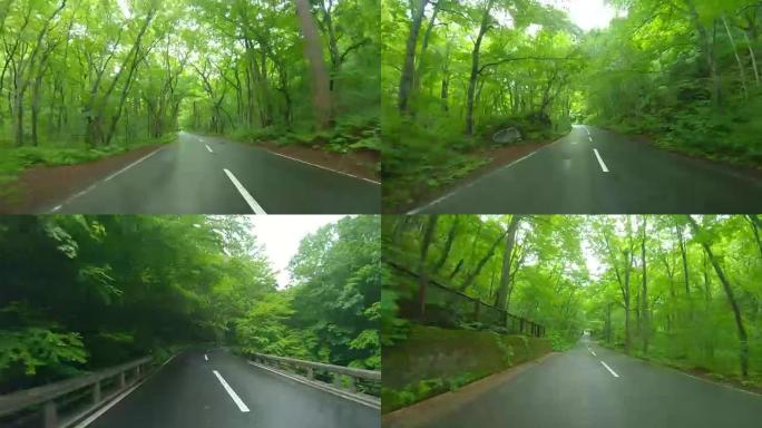 雨中穿过森林的道路