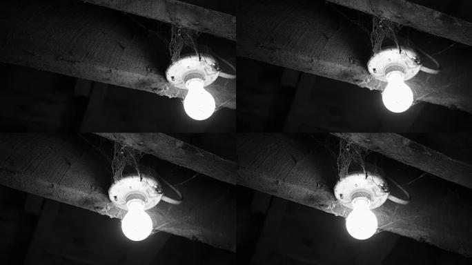 平移到覆盖在蜘蛛网上的灯泡-恐怖概念-黑白版本
