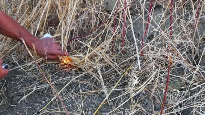 农民在土地上烧草和残茬，在土地上烧残茬和草药破坏自然和野生动植物，