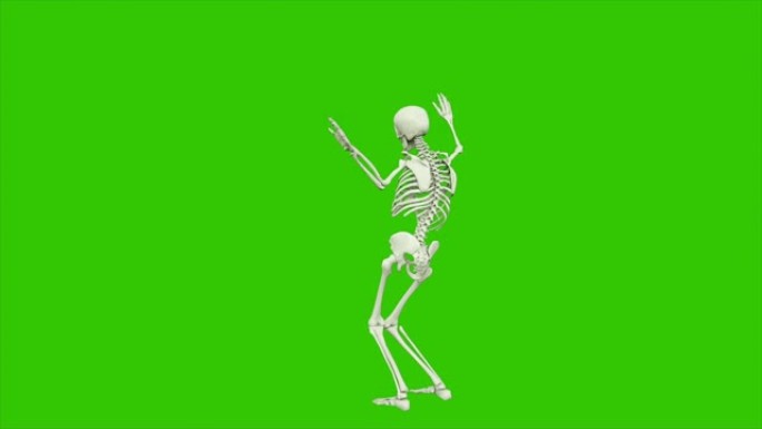 骷髅舞蹈。绿色屏幕上的无缝循环动画。