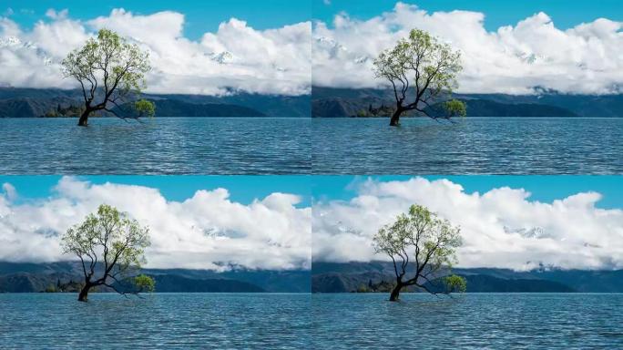 瓦纳卡湖新西兰自然景观