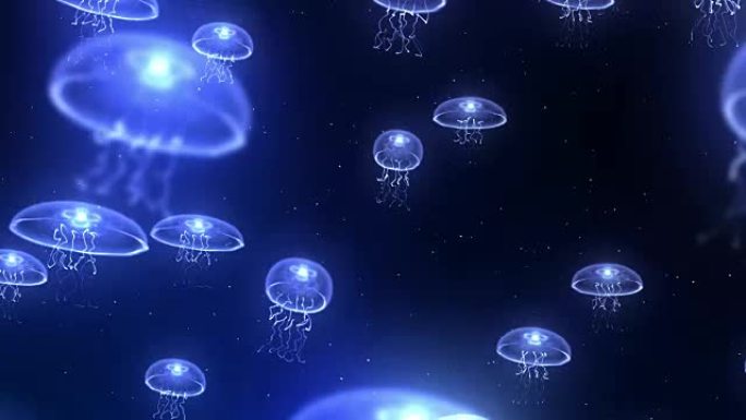 水母在水下用彩光照亮，CG动画，循环