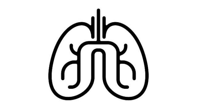 肺线运动图形