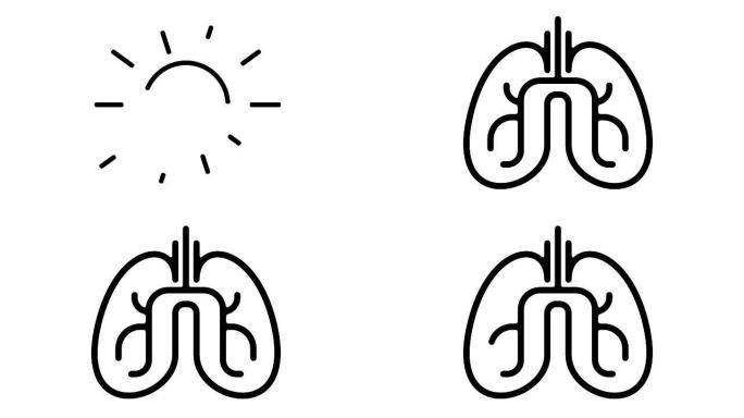 肺线运动图形