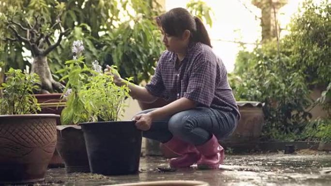 女人园艺挖树盆水滴下雨