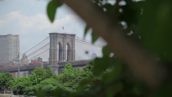 纽约布鲁克林大桥塔 (Brooklyn Bridge Tower Beyond Tree)