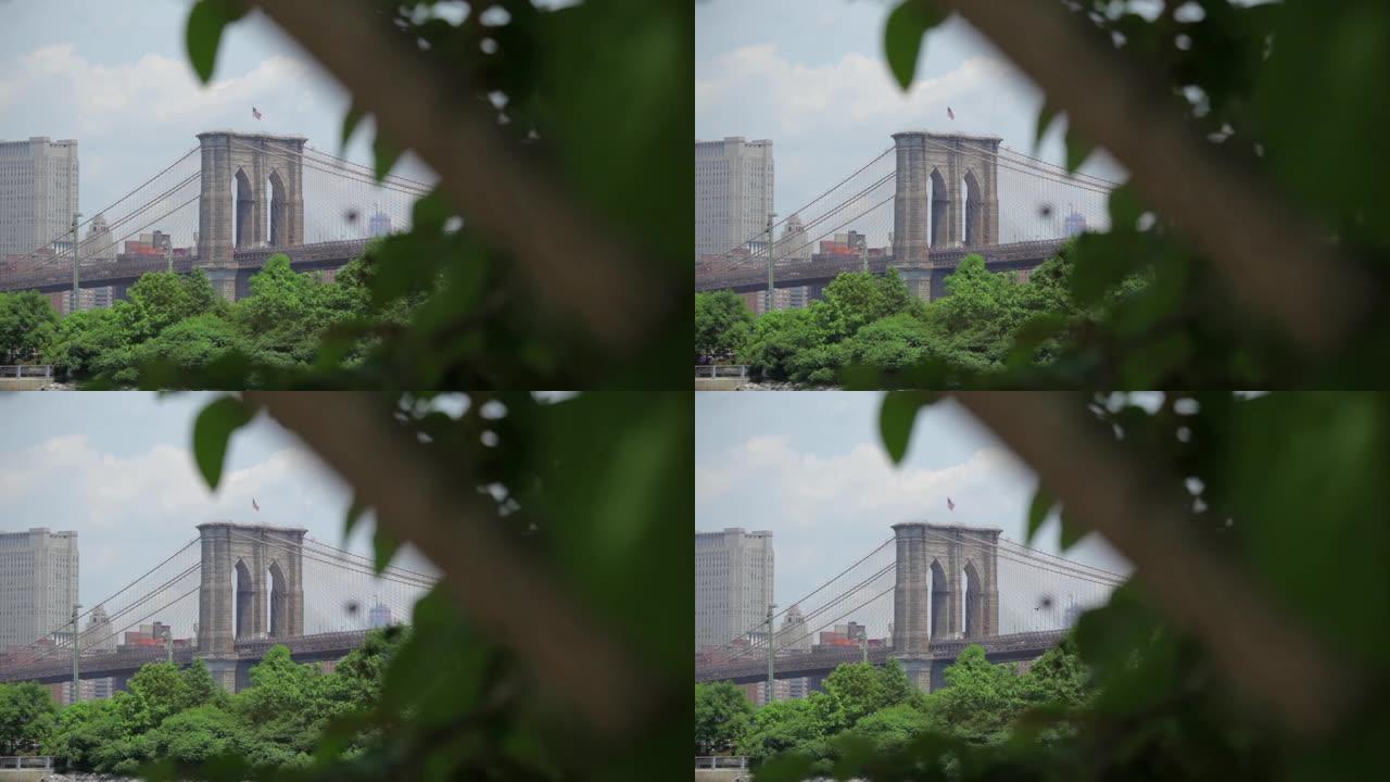 纽约布鲁克林大桥塔 (Brooklyn Bridge Tower Beyond Tree)